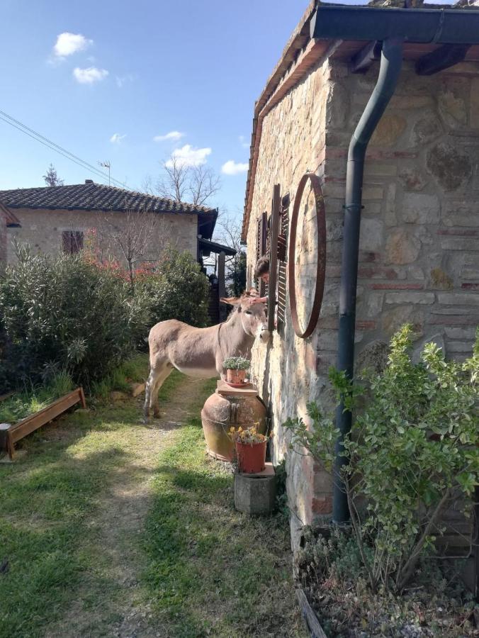Agriturismo Grecinella Casole d'Elsa Bagian luar foto