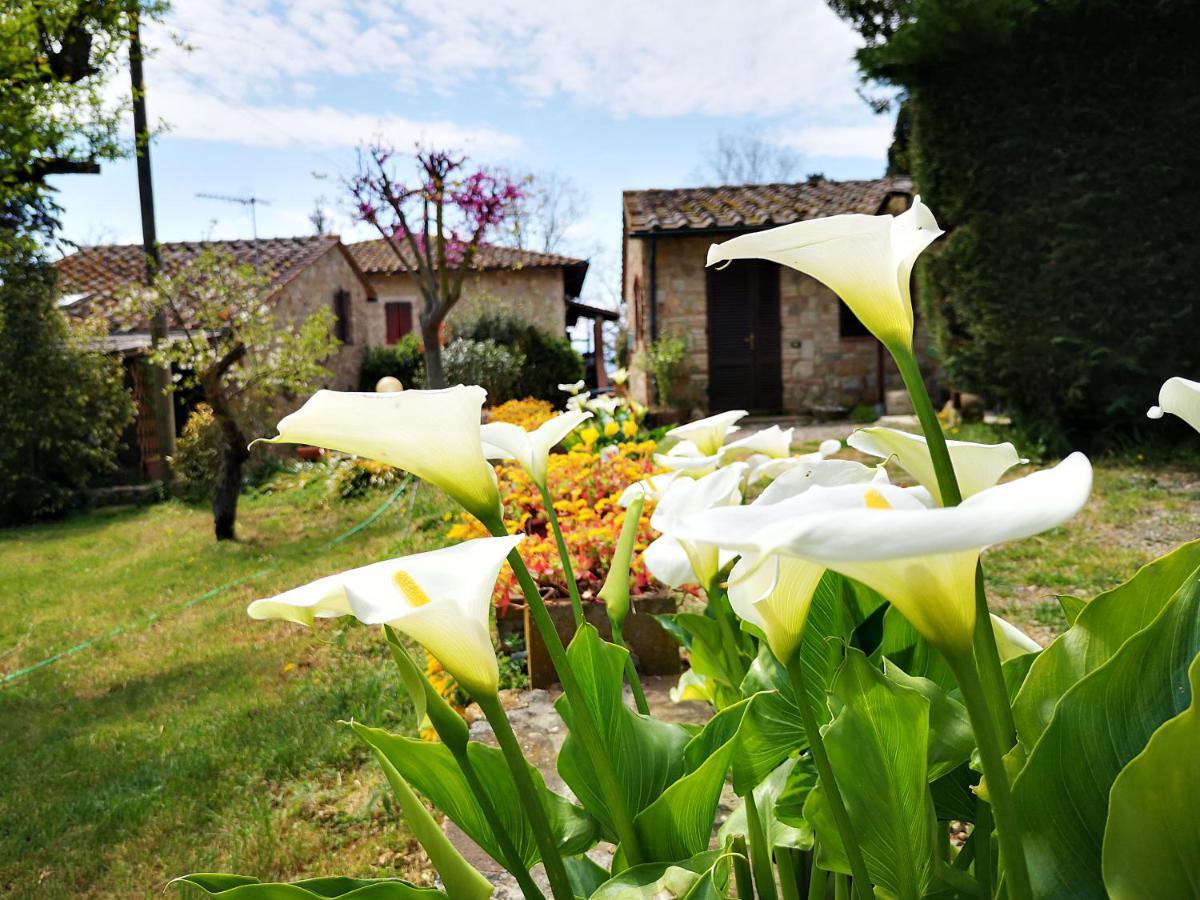 Agriturismo Grecinella Casole d'Elsa Bagian luar foto